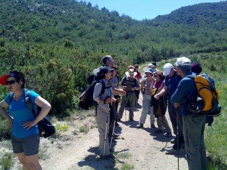 GR36. Torralba del Pinar a Montanejos