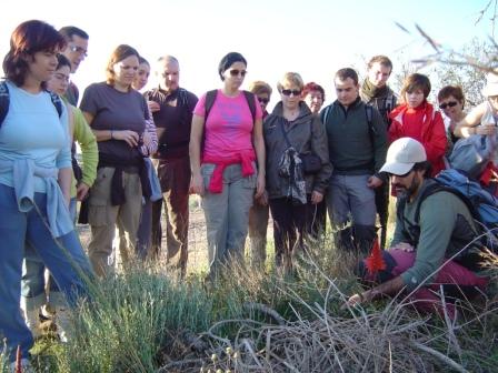 Senderismo - Montornés - Barranco de la Parreta - Mas de Chiva - Mas de Bover - Ermitorio de La Magdalena. Patronat d´Esports Castelló